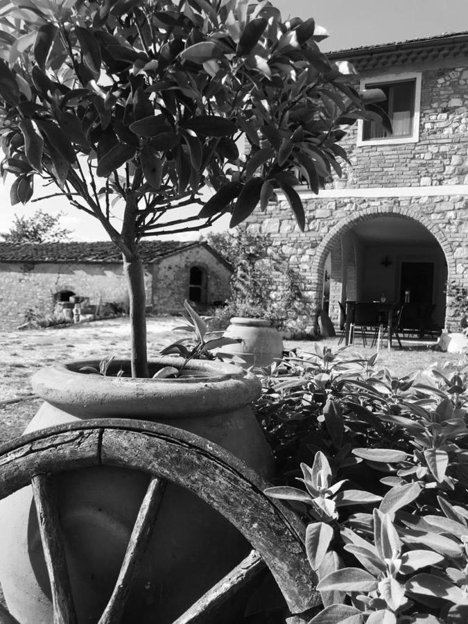 Podere Il Sasso Barberino di Mugello Eksteriør billede