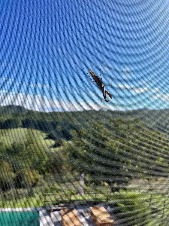 Podere Il Sasso Barberino di Mugello Eksteriør billede